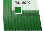 ral6029